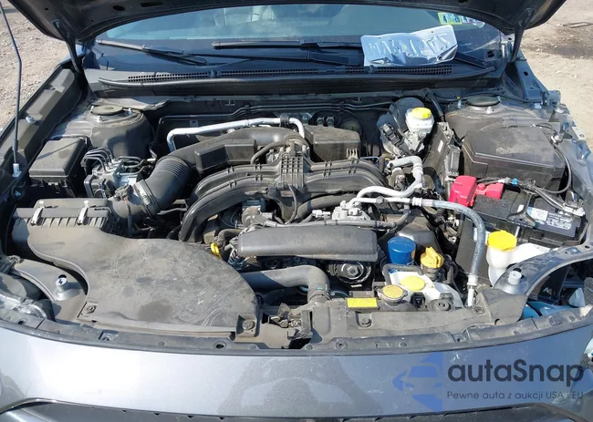 4S4BTAMC3P3145855: 42427515