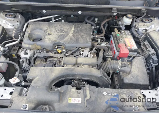 JTMW1RFV1KD505216: 42427557