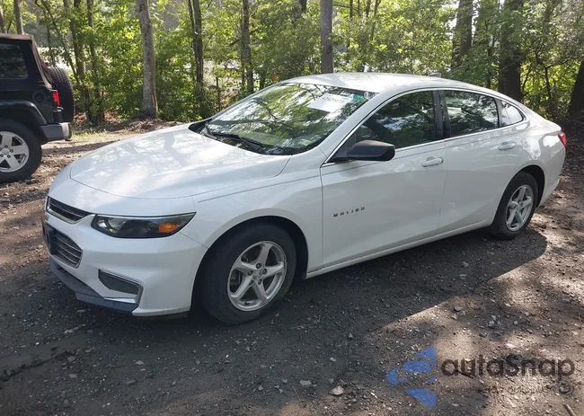 1G1ZB5STXGF254708: 42429173