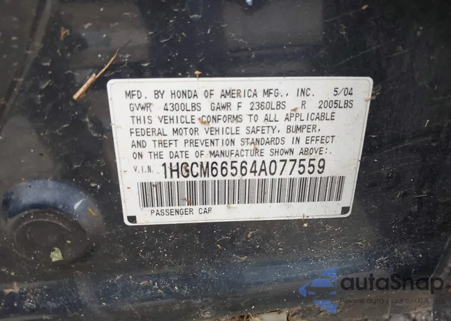 1HGCM66564A077559: 42429431