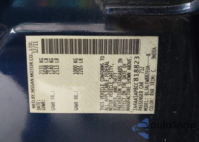 1N4AA5AP8CC818823: 42428594