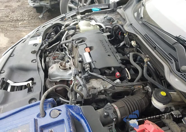 19XFC2F50HE044020: 42428776