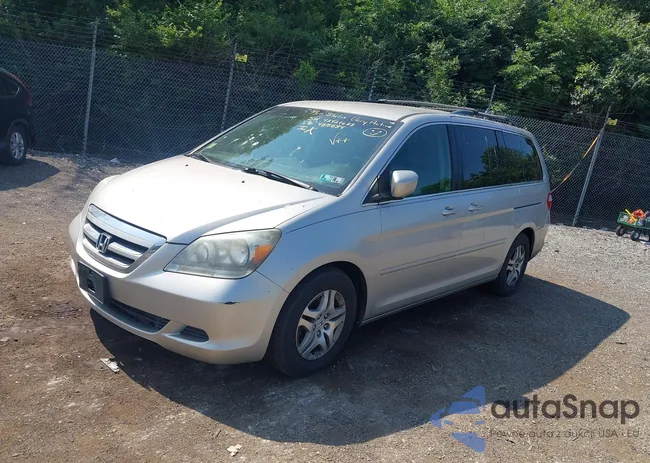 5FNRL38487B455584: 42429623