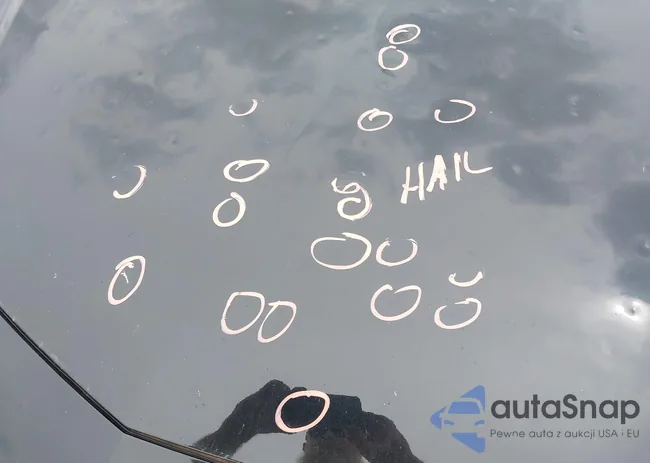 1G1ZD5ST9KF164940: 42430849