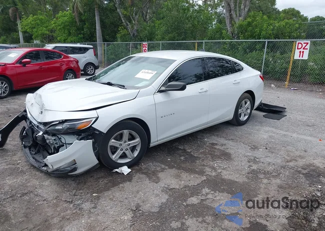 1G1ZB5ST5PF238254: 42430499