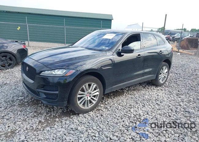 SADCK2EV9JA243264: 42430555