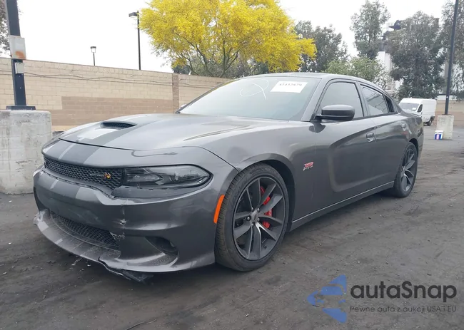 2C3CDXGJ5MH530317: 42432879