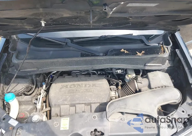 5FNYF4H24DB051250: 42433050