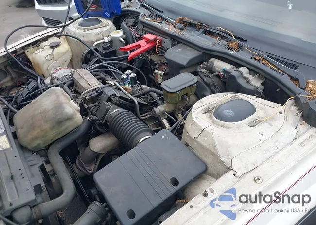 1G4CW54CXK1643641: 42434053