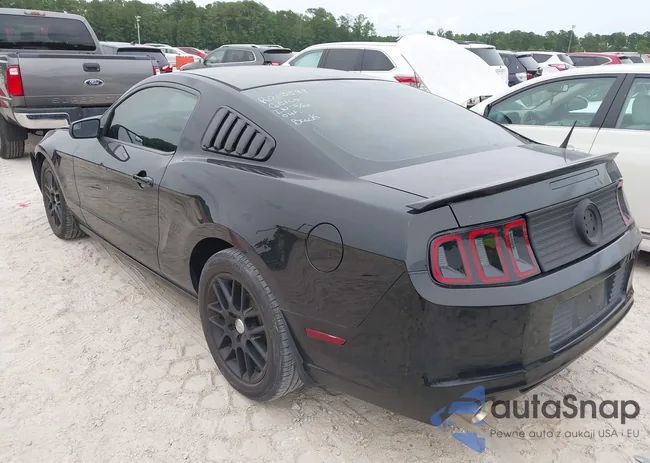 1ZVBP8AM4E5210029: 42434223