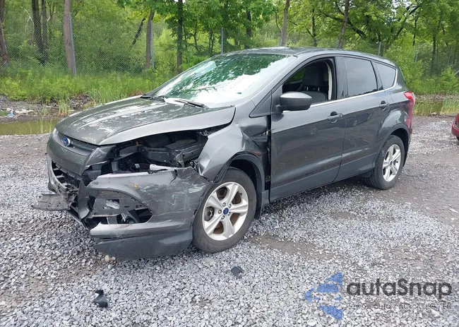 1FMCU9GX8GUB42300: 42434290