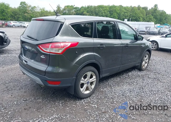 1FMCU9GX8GUB42300: 42434290