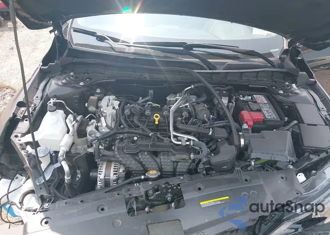 1N4BL4DV9PN381931: 42434319