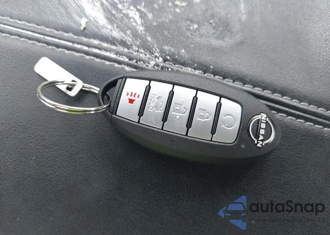 1N4BL4DV9PN381931: 42434319