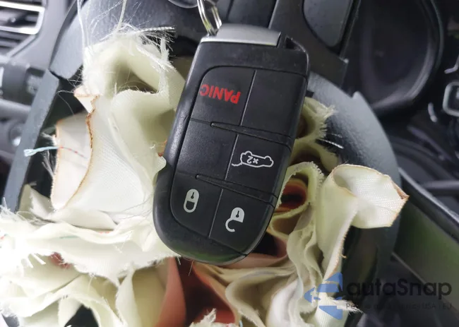 1C4SDJFT0MC818725: 42434451