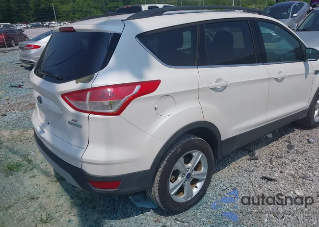 1FMCU0GX7EUB71005: 42434547