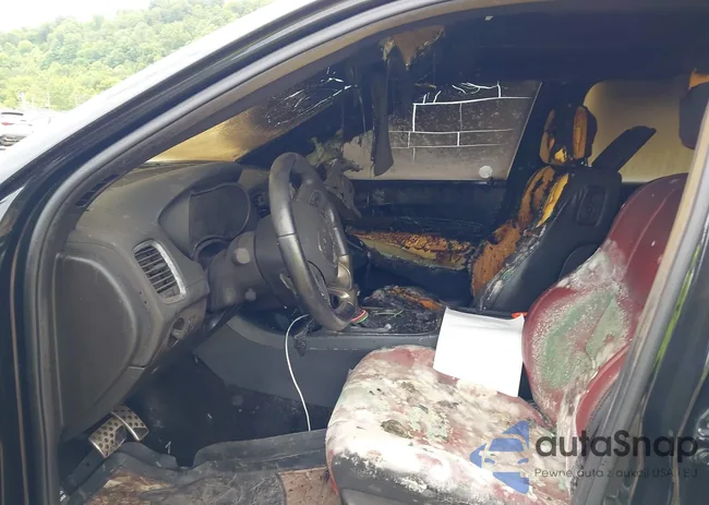 1C4SDJGJ1JC265981: 42435733