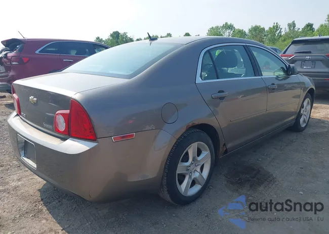 1G1ZB5EB0AF272175: 42436923