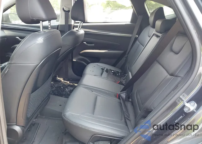 5NMJFCAE3PH181507: 42437052