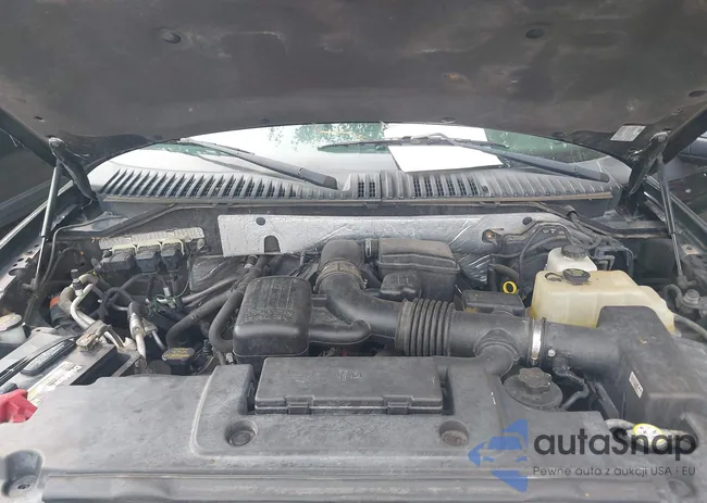 1FMJK2A56DEF63384: 42436749