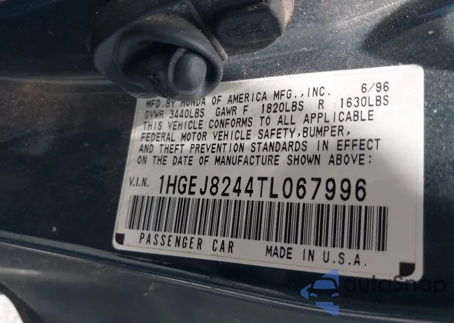 1HGEJ8244TL067996: 42437675
