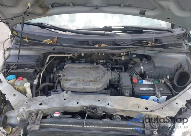 5FNRL5H65CB076534: 42440258