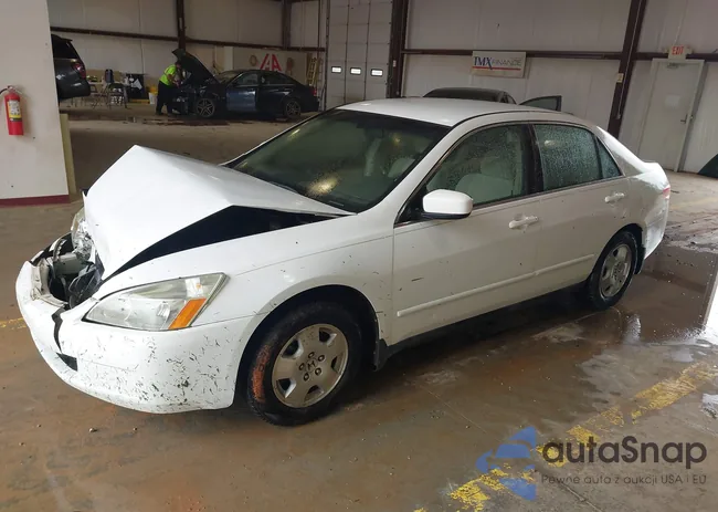 1HGCM56384A175338: 42441114