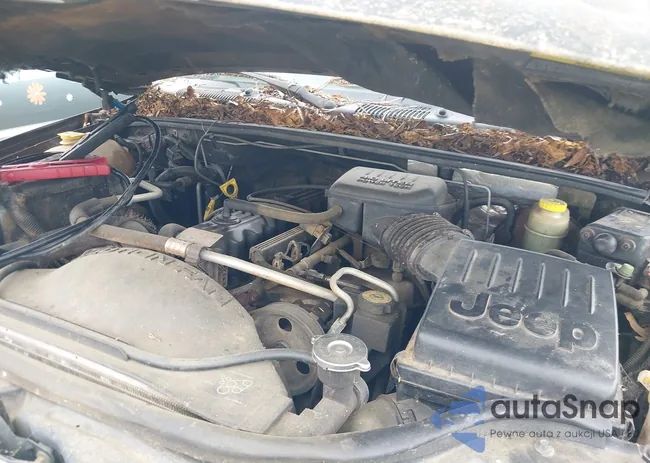 1J4GW58S1XC525412: 42441298