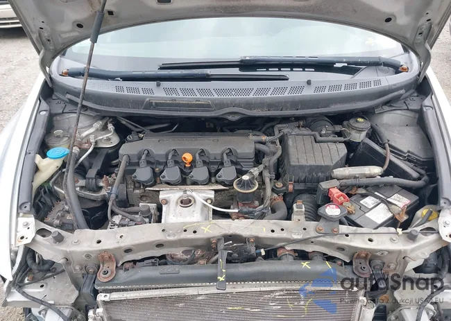 2HGFG12878H542350: 42441307