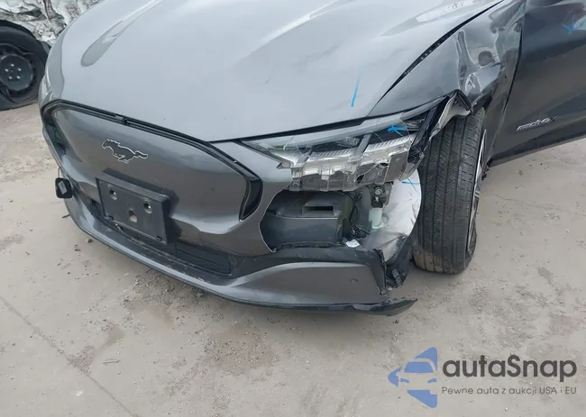 3FMTK3SU3PMA70118: 42441784