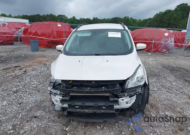 1FMCU0GX6GUB45966: 42442966