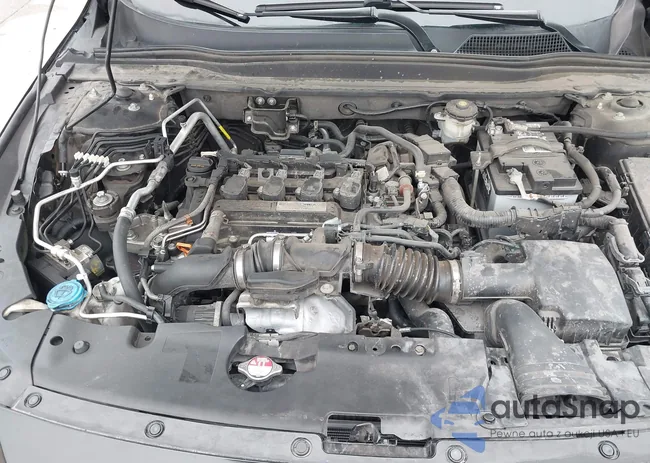 1HGCV1F3XJA092009: 42443202