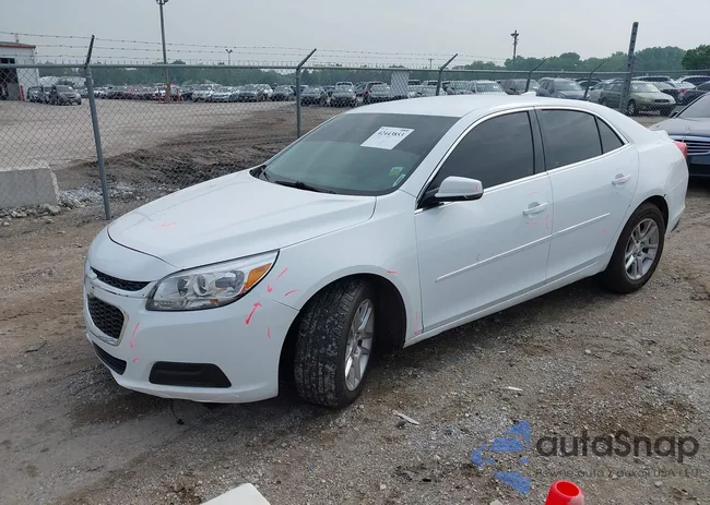 1G11C5SL8FF306944: 42443853