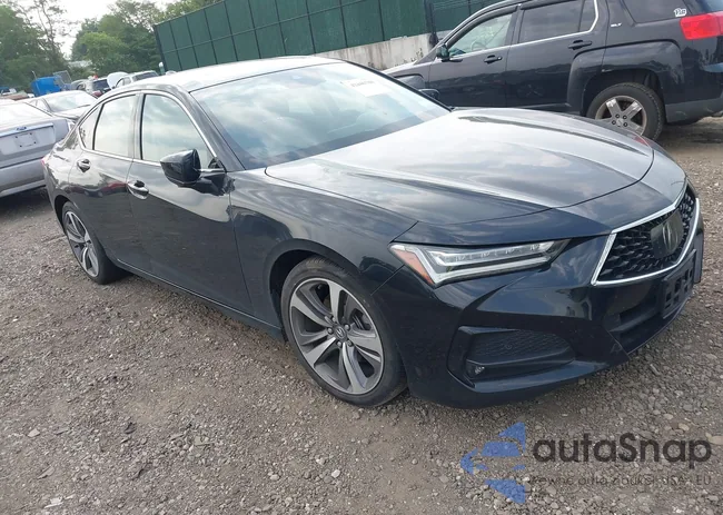 19UUB5F66MA008819: 42446788