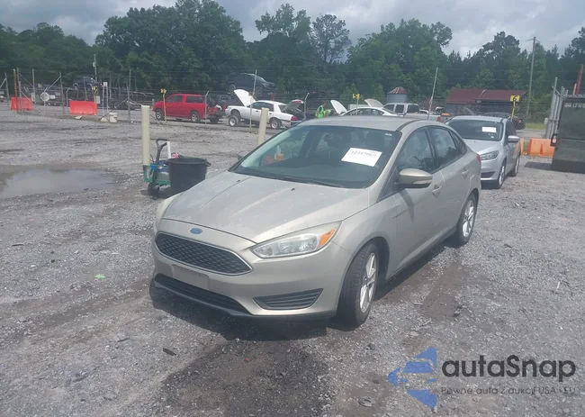 1FADP3F21FL274618: 42447069