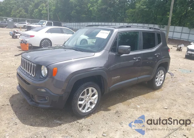 ZACCJBBB0JPG98805: 42447216