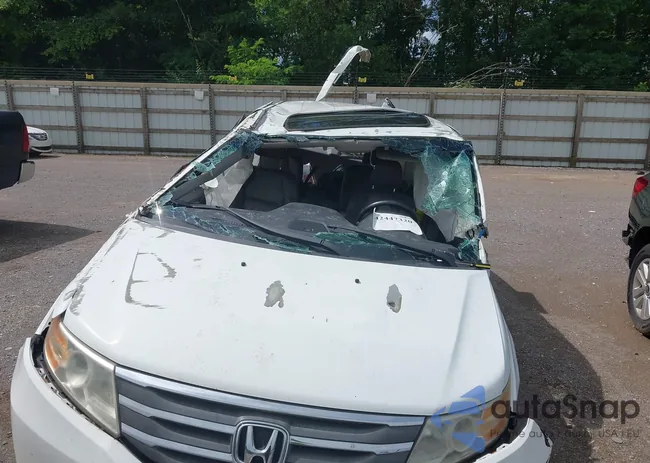 5FNRL5H61CB033681: 42447320