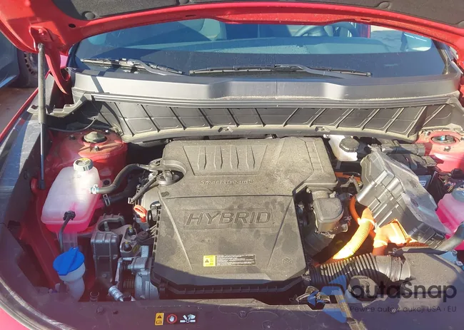 KNDCP3LE4R5152526: 42446350