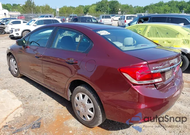 19XFB2F59FE250937: 42447646