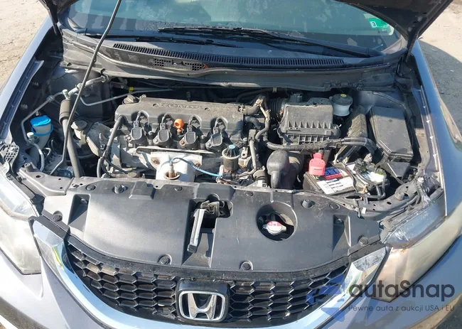 19XFB2F97FE086512: 42447660