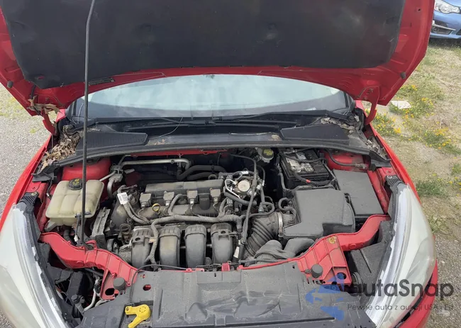 1FADP3F24GL403372: 42447728