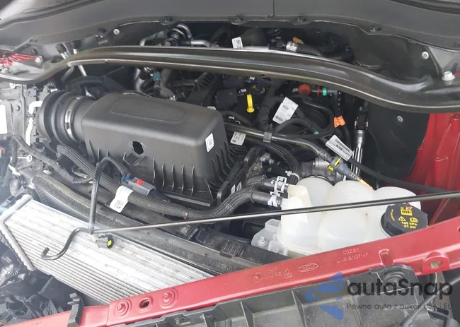 1FMSK8FH1MGC30525: 42448829