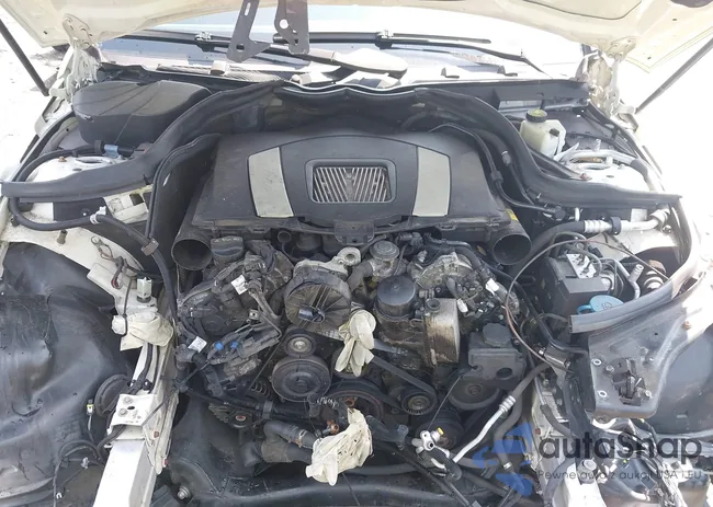 WDDGF81X09F250443: 42448866