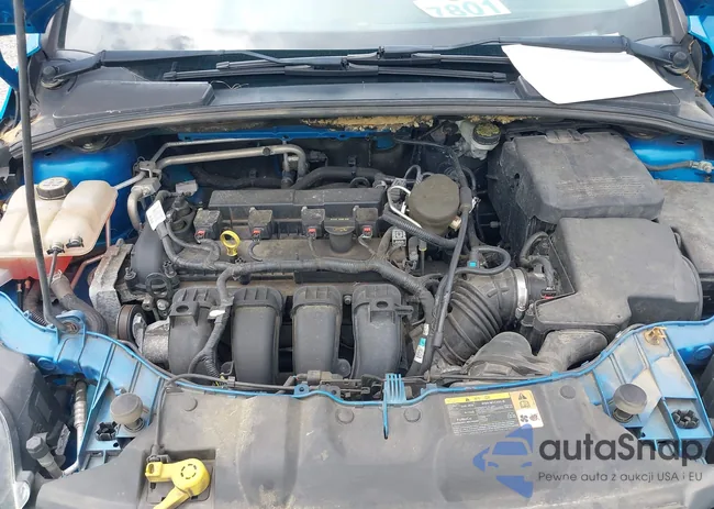 1FADP3N29DL317391: 42449875