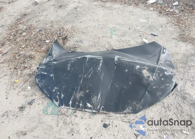 5NMSH13E59H249079: 42450235