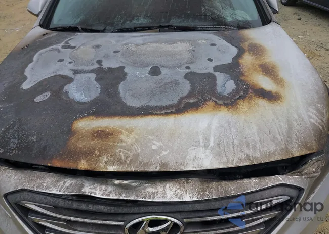 5NPE34AF7FH218715: 42449343