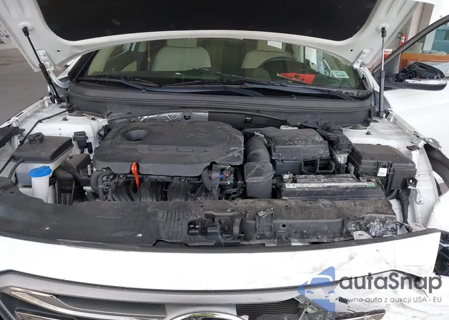 5NPE34AF9GH399625: 42452239