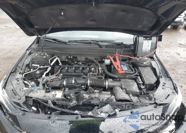 1HGCV1F16MA002406: 42451551