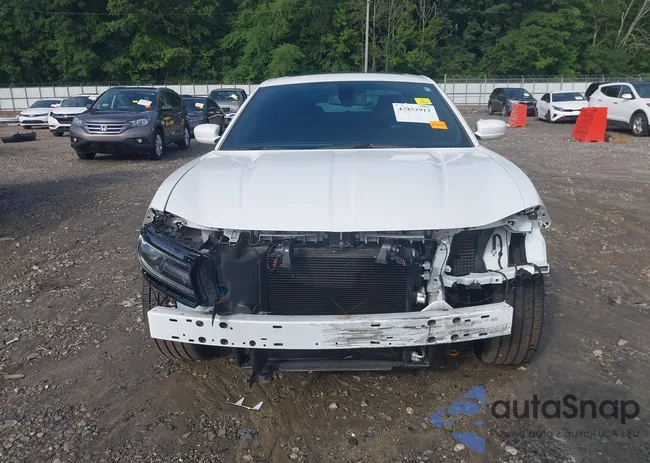 2C3CDXJG6MH636952: 42452912