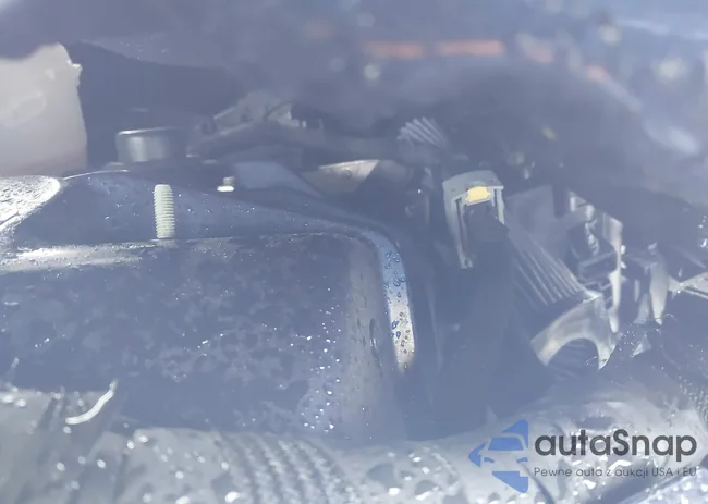 ZARFAEDN2H7545488: 42452439